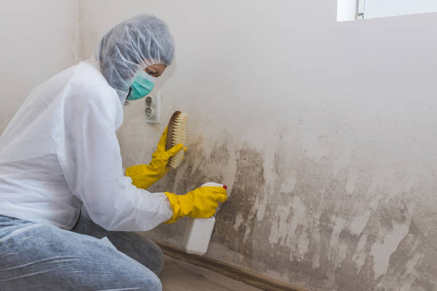 Best Office Mold Removal Services  in Highland Park, NJ