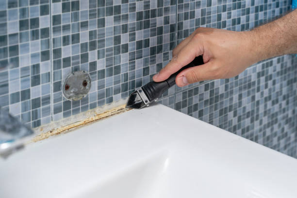 Best Mold Removal Company Near Me  in Highland Park, NJ