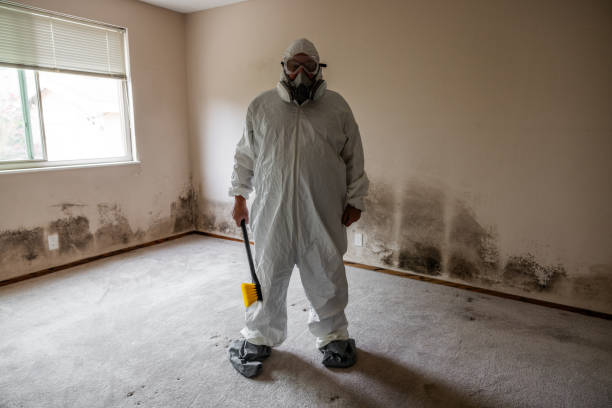 Best Mold Removal Near Me  in Highland Park, NJ